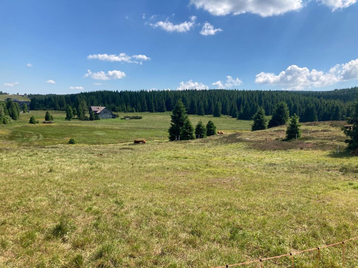 Apartmany V Lese Bedřichov 외부 사진